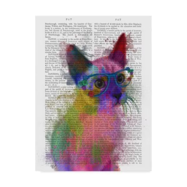 Fab Funky 'Rainbow Splash Text Cat 2' Canvas Art, 14x19, Trademark Fine Art, Mfr#: WAG00149-C1419GG